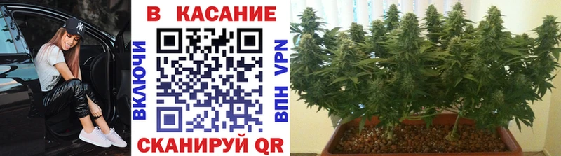 Какие есть наркотики Кизел Кокаин  КЕТАМИН  Бошки Шишки  Меф мяу мяу 