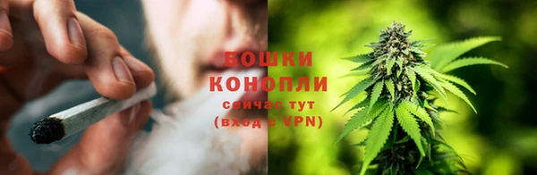 бошки Богданович